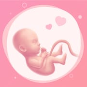 Pregnancy Tracker Week By Week